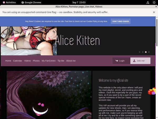 Alice Kitten Wallpaper Alice Kitten Wallpaper