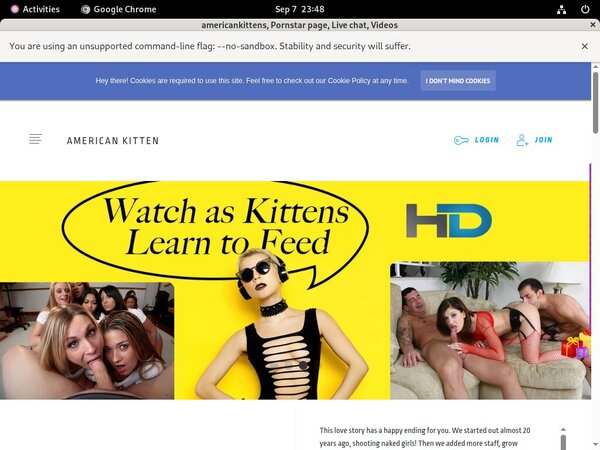 Americankitten.com Limited Deal Americankitten.com Limited Deal