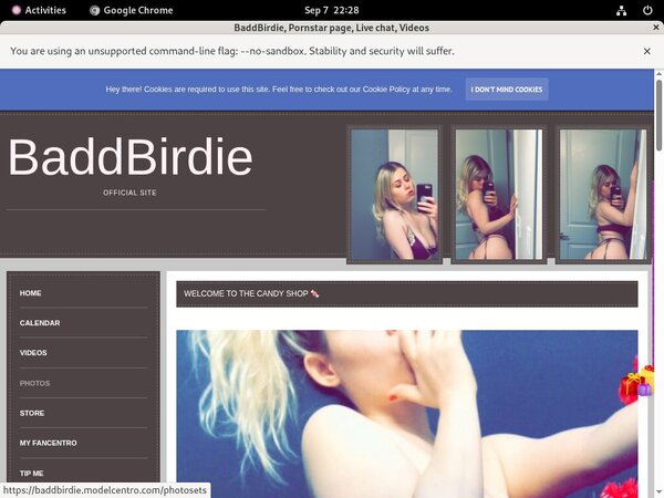 BaddBirdie Discount Order