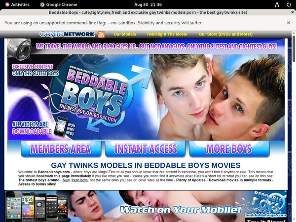 Beddable Boys Password Generator