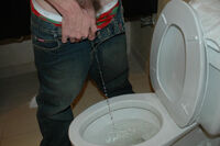 Boyspissing Passwords 2017 s3