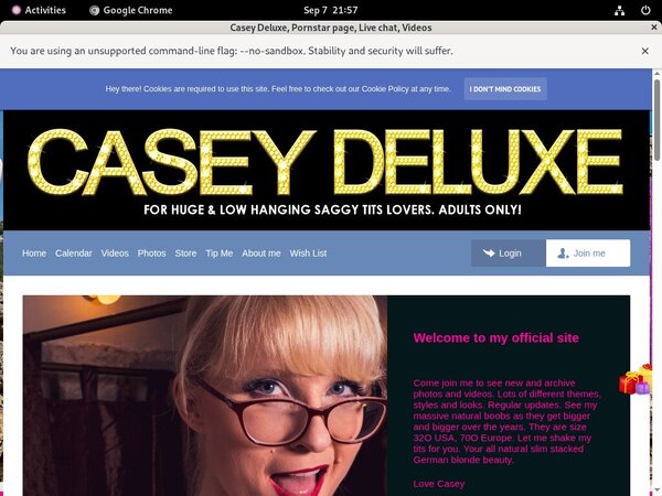 Casey Deluxe Store