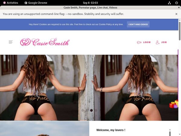 Casiesmith.modelcentro.com Discounted