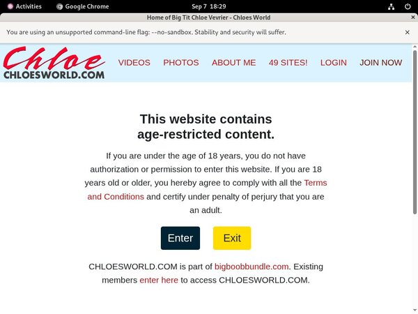Chloesworld Billing Page