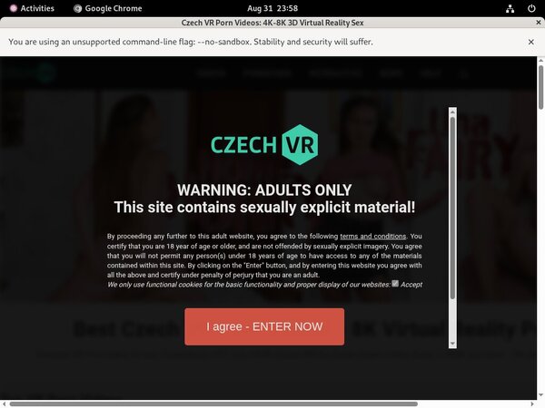 Czech VR Renew Subscription