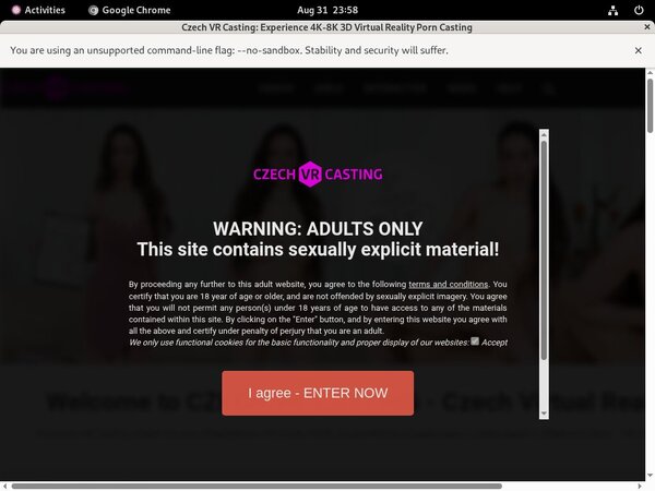 Czechvrcasting Full Version