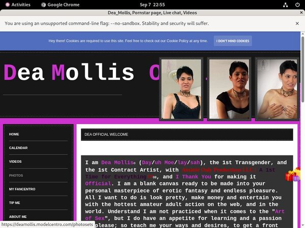 Deamollis Epoch Payment