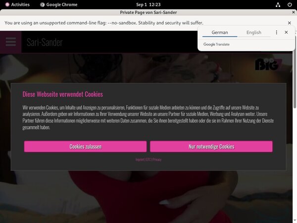 Discount Sari Sander