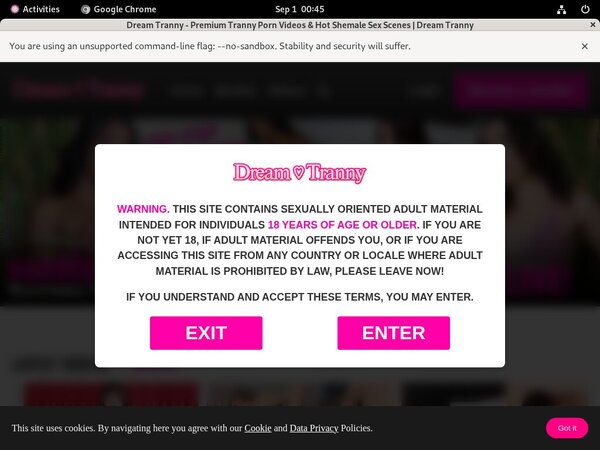Dream Tranny Limited Sale Dream Tranny Limited Sale