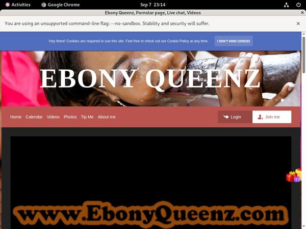 Ebonyqueenz.modelcentro.com Porn Reviews