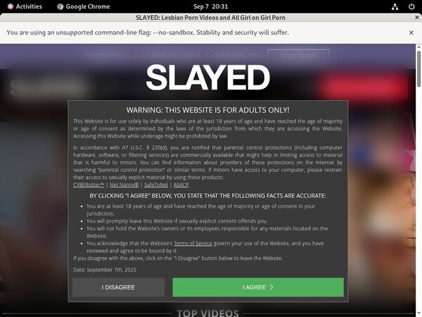Free Accounts To Slayed
