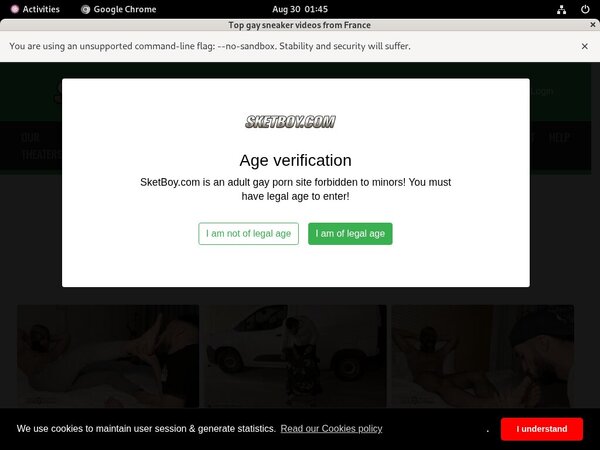 Free Sketboy.com Login And Pass Free Sketboy.com Login And Pass