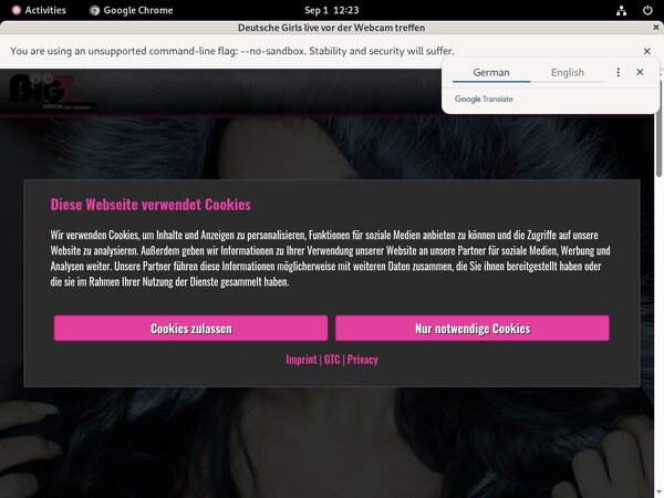 FreeLana Giselle Password