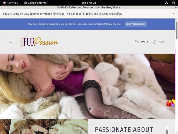 Furpassion.net Lower Price