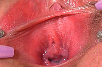 Gapemypussy Paypal Sign Up s0