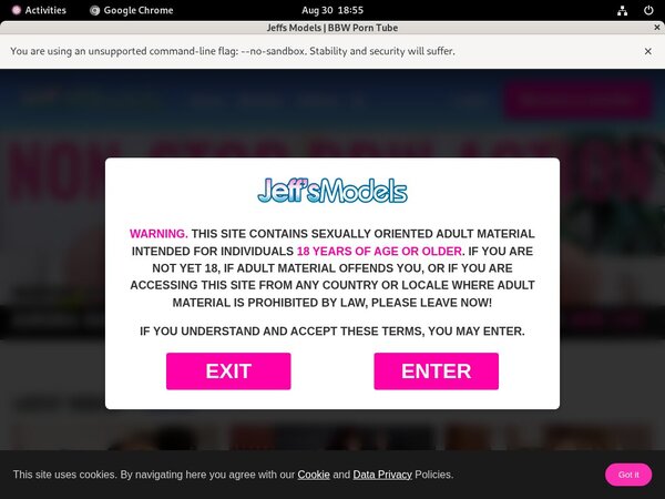 Jeff's Models Porn Site