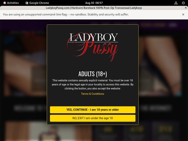 Ladyboy Pussy Promo