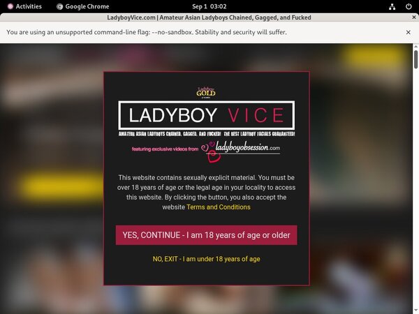 Ladyboy Vice Discount (SAVE 63%) Ladyboy Vice Discount (SAVE 63%)