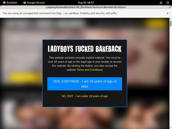 Ladyboys Fucked Bareback Buy Points