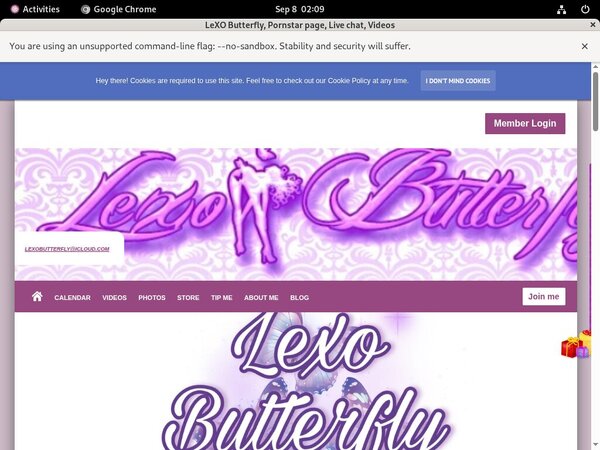 LeXO Butterfly Passwords 2019