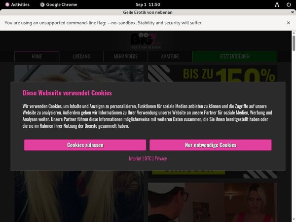 LindaKiss.com Live Cams