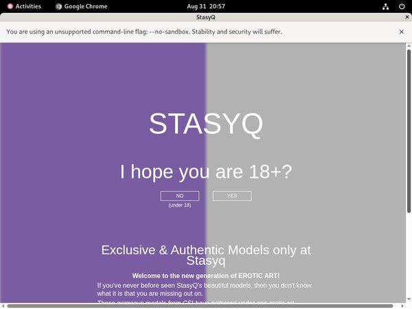 Login Stasyq For Free