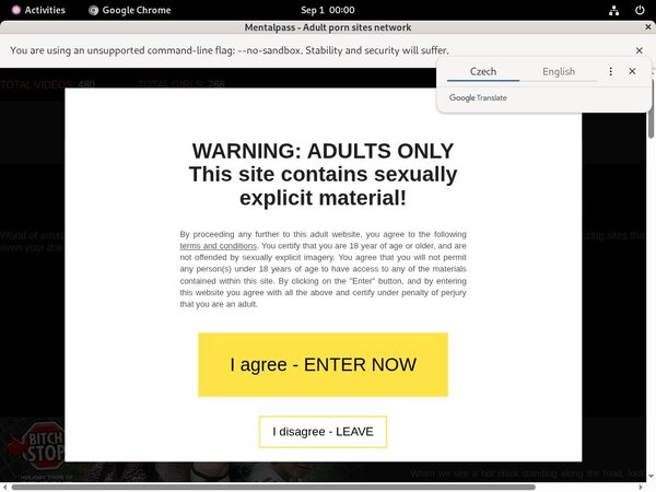 Mental Pass With Paypal Account