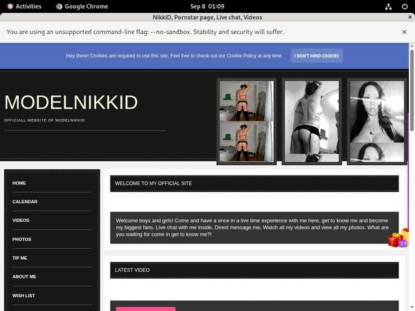 ModelNikki Sale Price