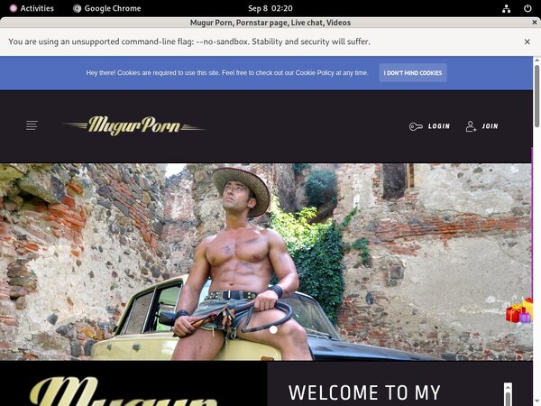 Mugur Porn Mobile Passwords