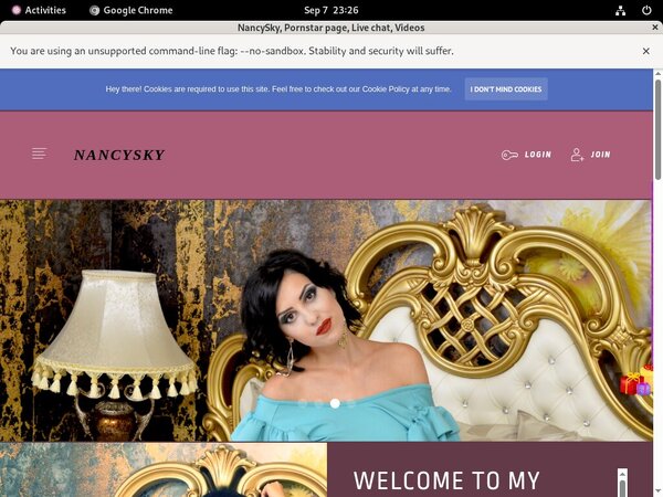 NancySky Register