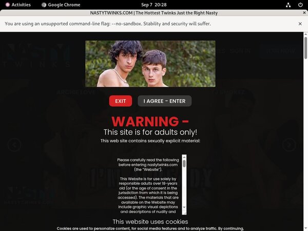 Nasty Twinks Sex Movies
