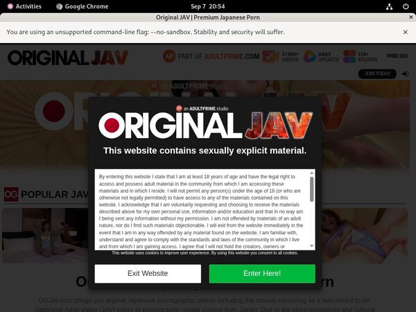 Original JAV Daily Accounts