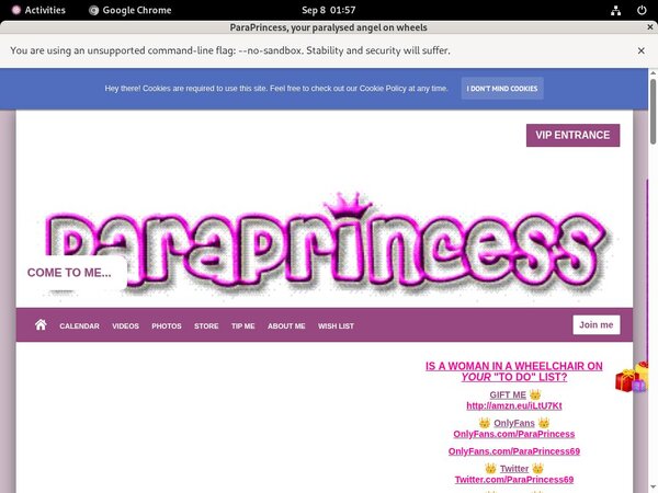 ParaPrincess Wachtwoord ParaPrincess Wachtwoord