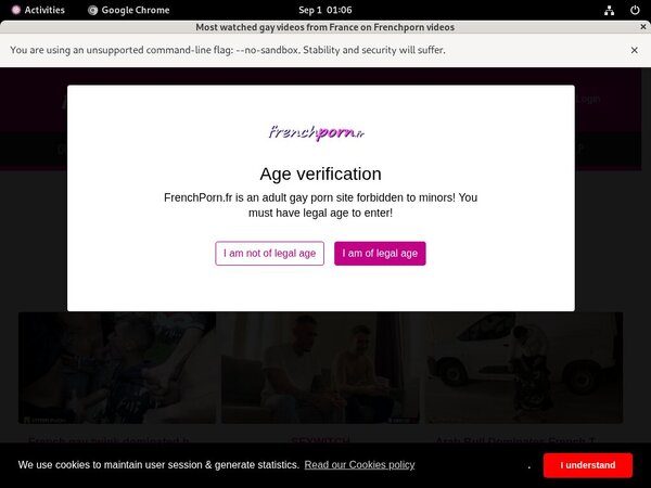 Paypal French Porn Gay?