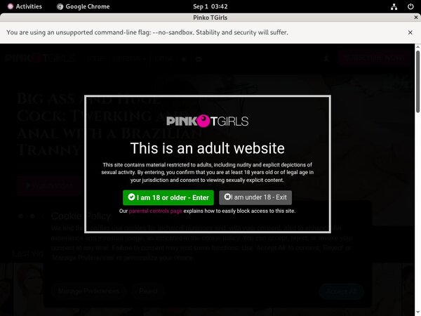 PinkO TGirls Paysite Review