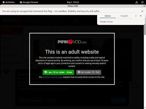 Pinkovod.com Daily Pass