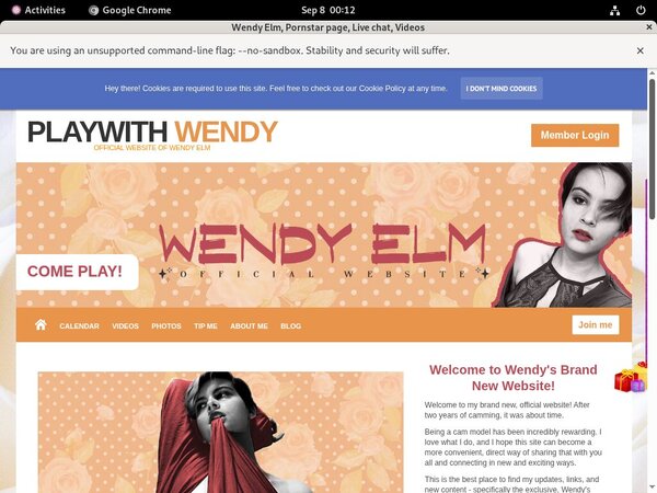 Playwithwendy.modelcentro.com Money