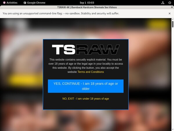 Premium TS Raw Pass