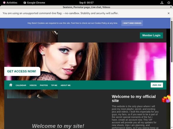 Seatenn.modelcentro.com Billing Form
