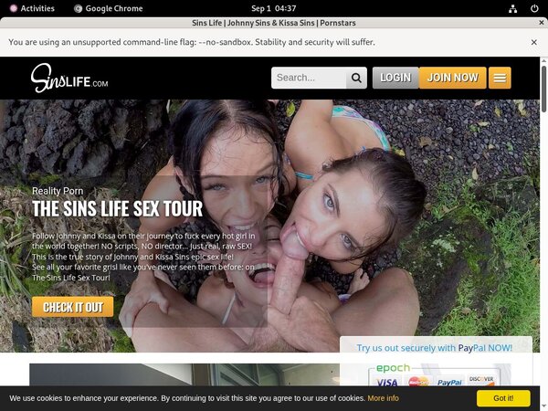 Sins Life Dvd