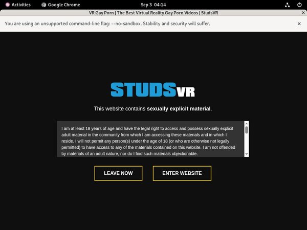 Studs VR Porn Pass