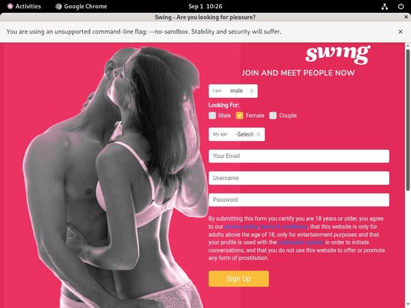 Swing Renew Password Swing Renew Password