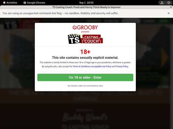 Try Free Ts-castingcouch.com