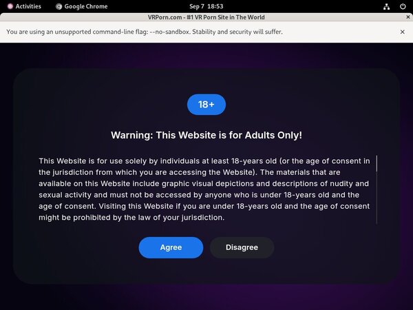 Vrporn Casting