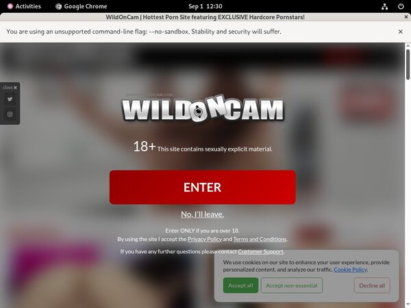 Wild On Cam Preview