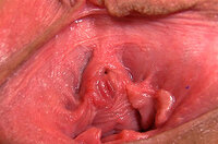 Www Gape My Pussy s0