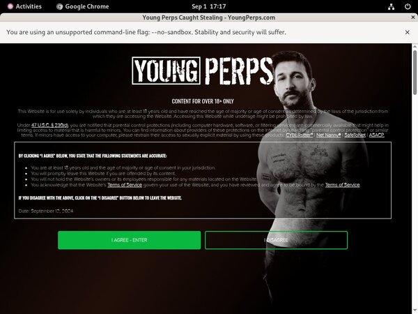 Youngperps Free Accounts And Passwords