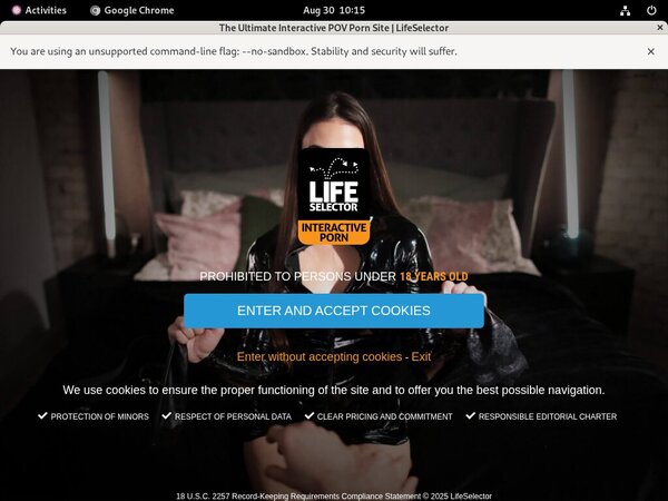 Life Selector Porn Pass