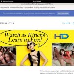 Americankittens Pay Using Americankittens Pay Using