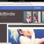 Does BaddBirdie Use Paypal?